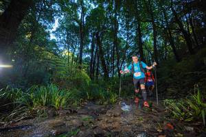 BIB: 
                            <button type="button" onclick="openModal(19234999)" class="btn btn-primary btn-sm float-right btn-popup" data-toggle="modal" data-target=".modal-high-quality">
                        <i class="fas fa-shopping-cart"></i> Add to Cart
                    </button>
                                            <button type="button" onclick="isThisMe(19234999, true)" class="btn btn-success btn-sm float-right btn-popup btn-isme hidden" data-toggle="tooltip" data-placement="bottom" title="นี่คือรูปของคุณใช่ไหม คลิกที่นี่เพื่อเอาเข้าอัลบั้ม">
                        <i class="fas fa-plus"></i> Add to album
                    </button>
                    <button type="button" onclick="isThisMe(19234999, false)" class="btn btn-warning btn-sm float-right btn-popup btn-isnotme hidden">
                        <i class="fas fa-ban"></i> Remove from album
                    </button>